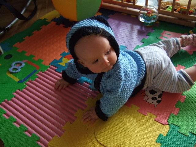 Bild