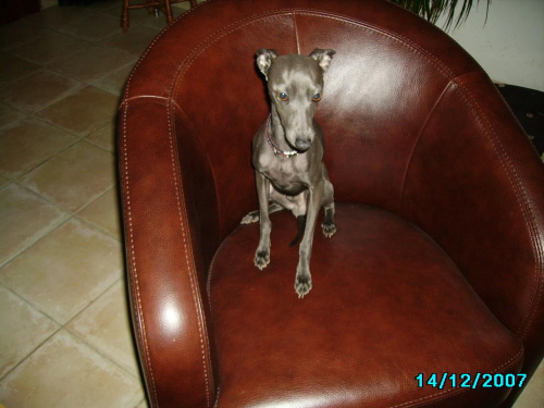 Obrazek