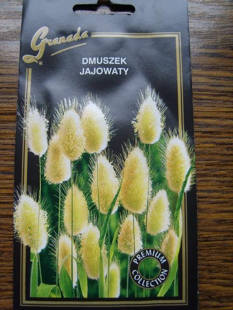 Obrazek