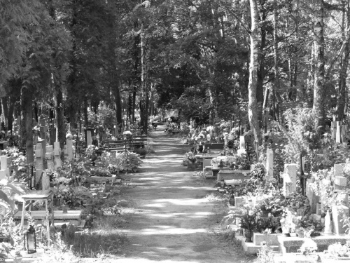 cmentarz w Lęborku #abstrakcja