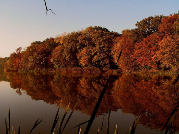 Kolory jesieni #las #woda #staw #wschód #jesień
