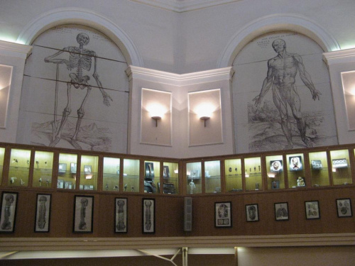 Wizyta w Muzeum Anatomii