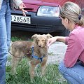 Thelma w Mysłowicach