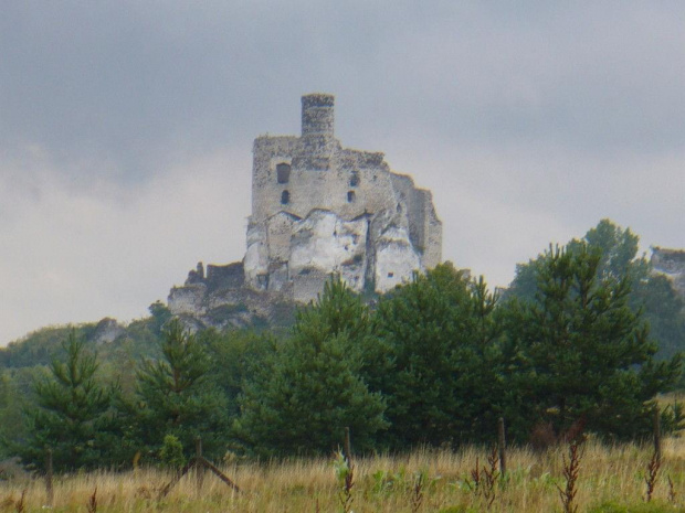 Jura Krakowsko-Częstochowska #zamek #ruiny #jura