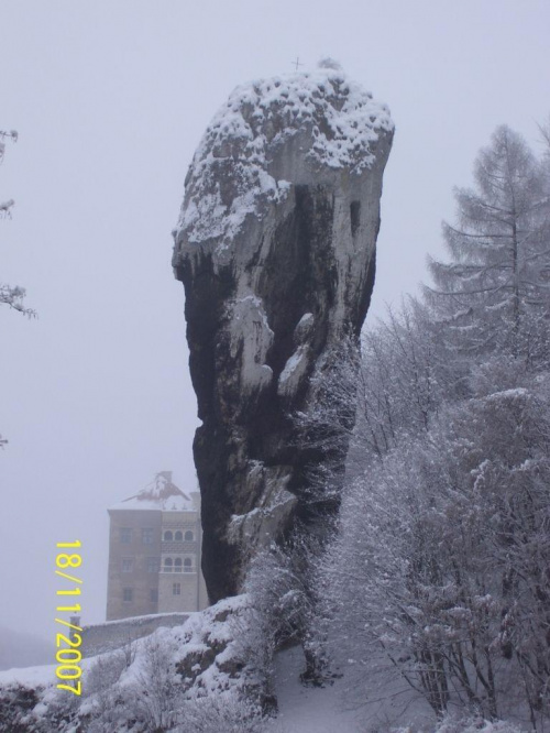 Maczuga Herkulesa #Drzewa #Góry #Kraków #Las #Ojców #Skały #Śnieg #Turystyka #Zabytki #Zima #Zwiedzanie
