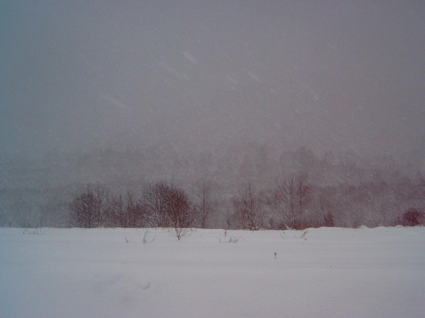 Bieszczady 13-14 listopada 2007