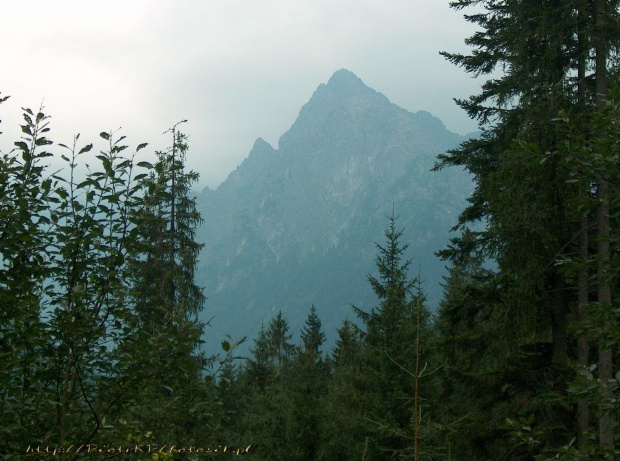 Góry #góry #tatry #urlop #Polska #szczyt