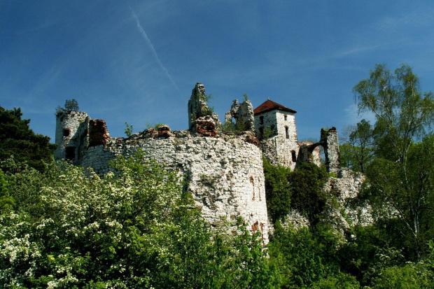 Zamek Tęczyn w Rudnie