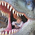 Bałtów - Dinozaury #Dinozaury #Bałtów #wycieczka