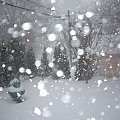 16 grudnia 2007 - zamiec sniezna #snieg #Toronto #zima #Kanada