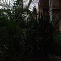 San Miguel de Allende (Guanajuato, México)