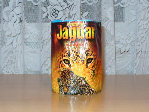 JW10 Jaguar