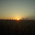 zachód3 #łąka #ZachódSłońca #przyroda #widoki