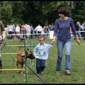 Pokaz Agility - Olsztyn 2007 Wystawa Psów