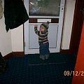 12 miesiac Żaby