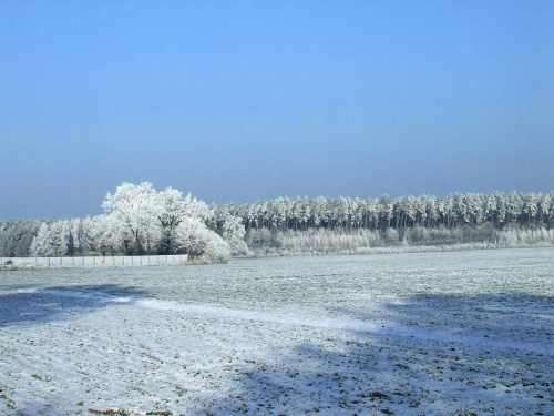 Zima 2007 #zima #dyniska #ulhówek #fido
