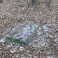 Cmentarz wiejski w Trzonkach. #CmentarzWiejskiWTrzonkach #Trzonki #MazurskieCmentarze #OcalićOdZapomnienia