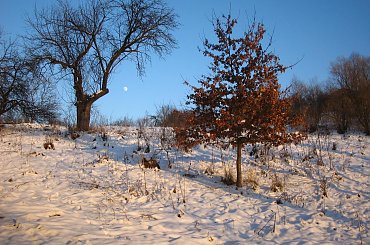 Zima w Lesku #Lesko #zima