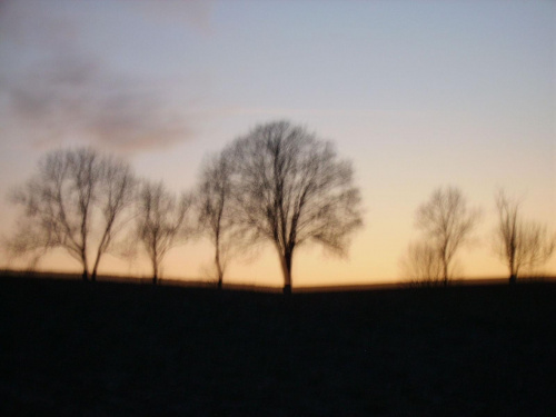 zachód w Chobielinie #zachód #zima #drzewa #mgła #łąka