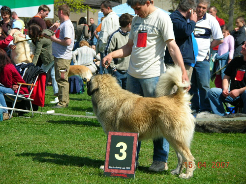 Częstochowa 2007