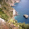 CAPRI