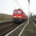 12.01.2008 BR234 551-0 z pociągiem EC cofa się aby wjechać na łącznik do Berlina.