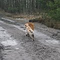 13 stycznia 2008