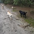 13 stycznia 2008