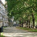 Za Wydziałem Fizyki i Astronomii