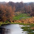 rz.Narew