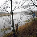 rz.Narew
