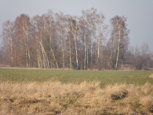 Widoki nad Bobrem #Przyroda #widoki #rzeka #woda