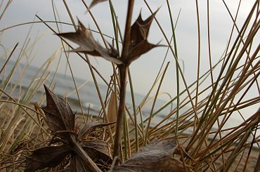 #rewa #mechelinki #szperk #ZatokaPucka #ZatokaGdańska #rybacy