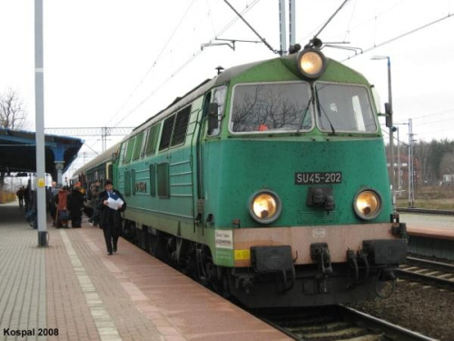 31.01.2008 (Rzepin) SU45-202 z pociągiem pośpiesznym rel.Frankfurt n/O - Gdynia Gł. #DodajTagiDoZdjęcia
