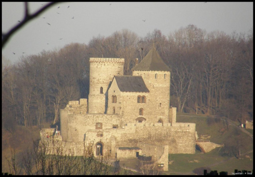 Zamek - tym razem z innego miejsca widokowego..przy maxymalnym zbliżeniu 18x #ZamekWBędzinie