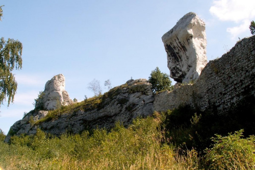 Zamek Ogrodzieniec Podzamcze