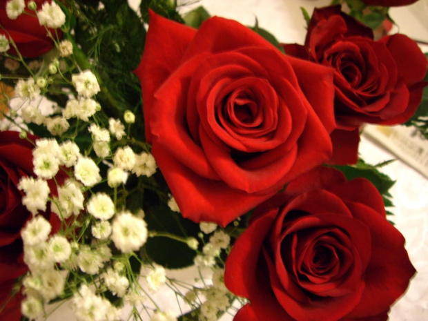 Walentynkowe roze
dla wszystkich moich fotosikowych Przyjaciol :)
KOCHAM WAS !!!!! #Walentynki2008 #przyjaciele #milosc