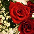 Walentynkowe roze
dla wszystkich moich fotosikowych Przyjaciol :)
KOCHAM WAS !!!!! #Walentynki2008 #przyjaciele #milosc