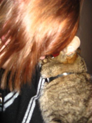 ja i moja kicia (Sisi) ;] #koty