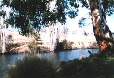 Park Kościuszki, Australia, zima #ParkKościuszki #zima #rzeka