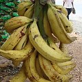 Największe banany jakie widziałam