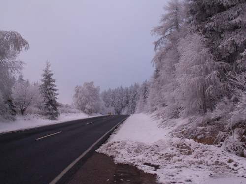 #zima #śnieg #las #droga