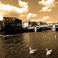 Windsor