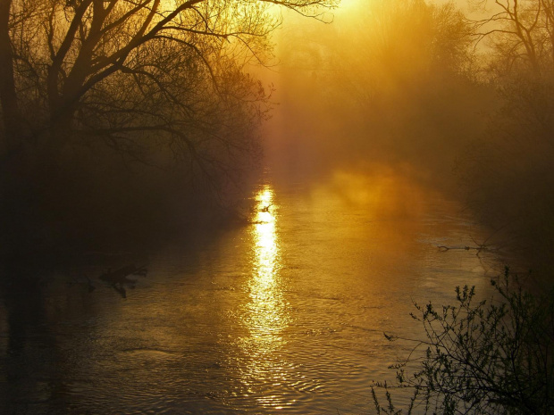 Bartoszyce-rzeka Łyna w porannej mgle:)