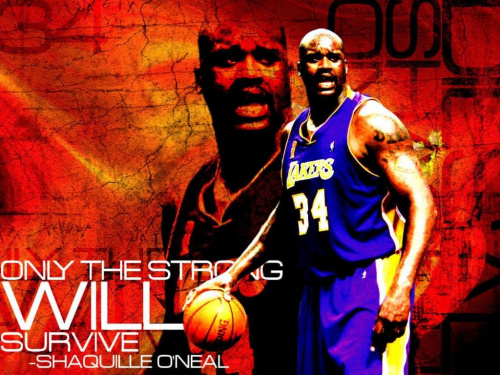 SHAQ & LAKERS