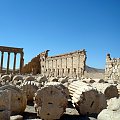 Palmyra #turystyka #ruiny #Palmyra