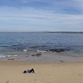 The beach in Monterey