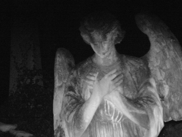 Dziki cmentarz #cmentarz #aniol