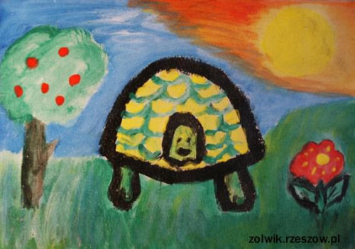 żółw-plakatowe #żółw #zolw