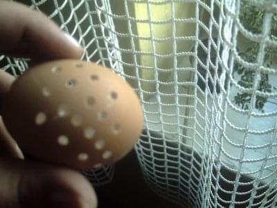 pierwsze podejście do grawerowania jajek